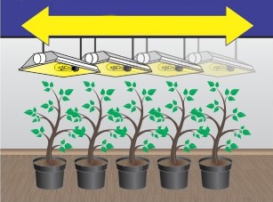 купить Лайтмувер (light mover) вращающий свет НАД РАСТЕНИЯМИ