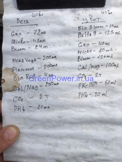 Таблица для Флоры сириес 